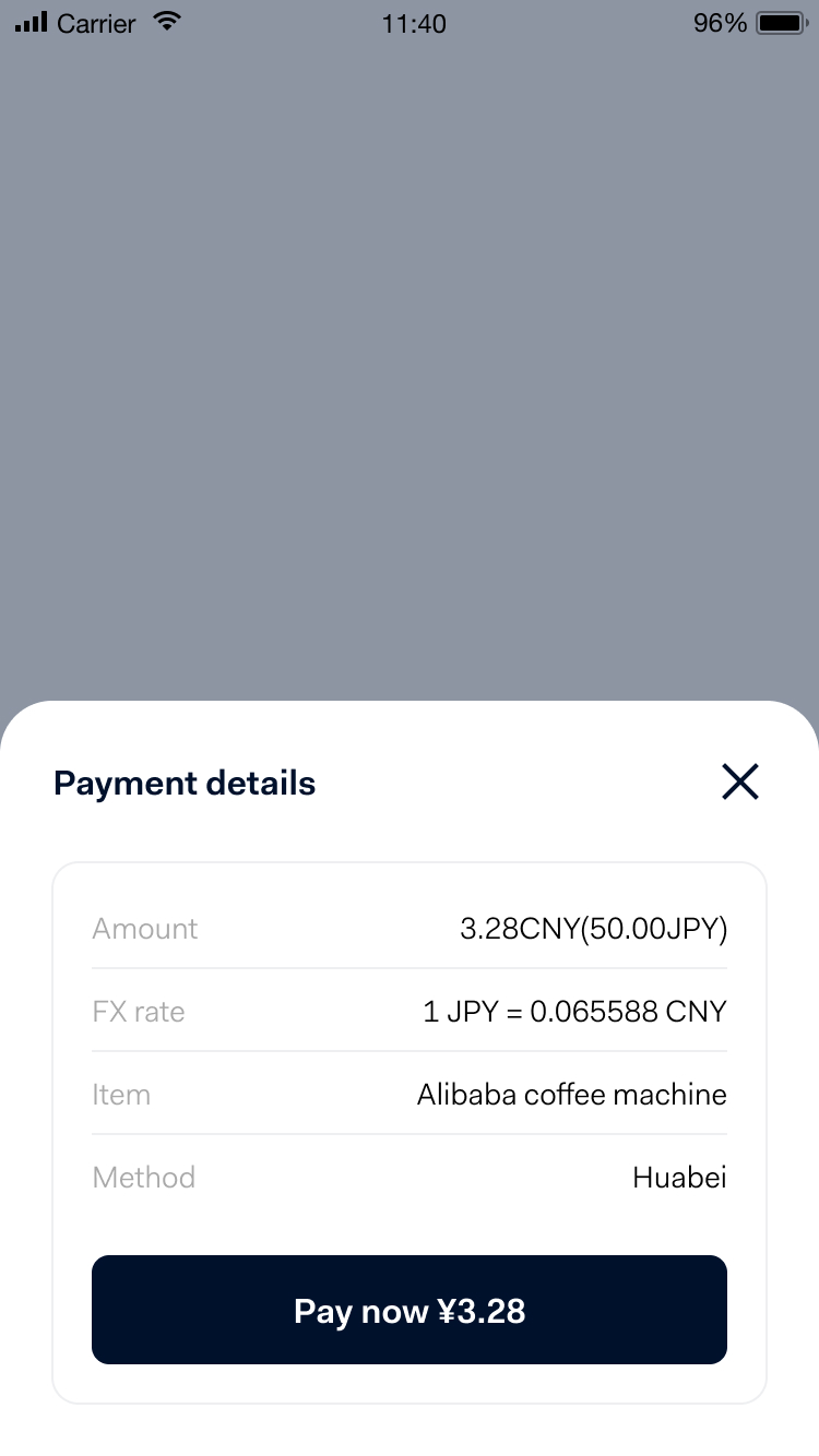 An order page with the amount appears and the consumer confirms the payment. 