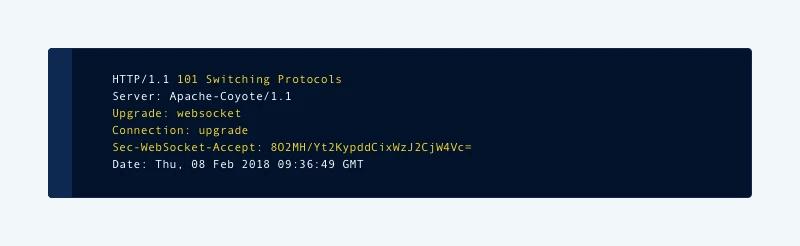 Code snippet for WebSocket connection upgrade