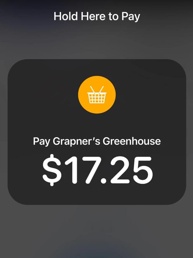 Accepting payment with Tap to Pay on iPhone