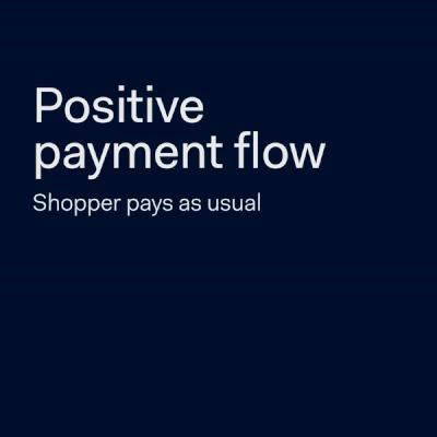 Payment flows animated