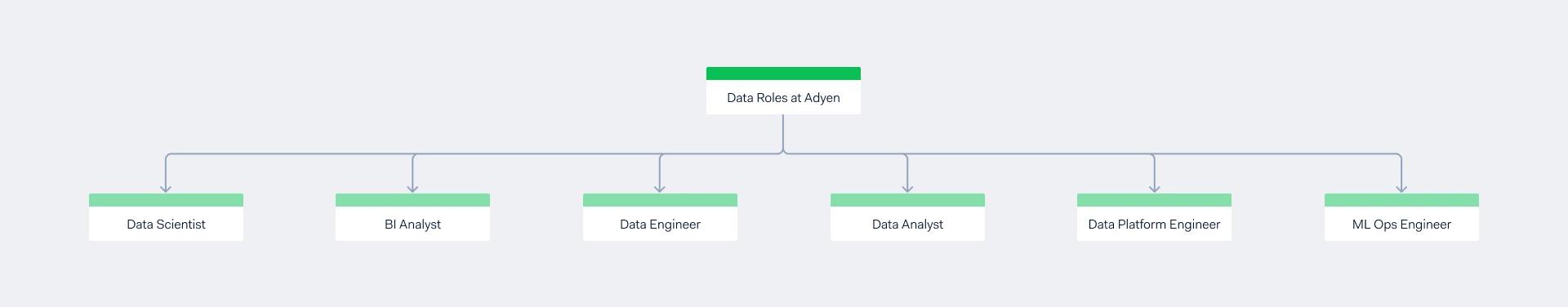 Image umbrella showing data roles at adyen: data scientist, BI Analyst, Data Engineers, Data Analyst, Data Platform Engineer and ML Ops Engineer